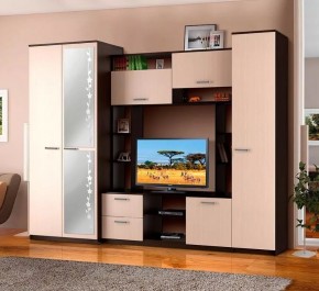АЛЕКСАНДРА 10 Стенка в Копейске - kopejsk.ok-mebel.com | фото 2