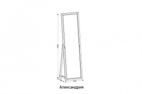 АЛЕКСАНДРИЯ-9.1 Зеркало напольное в Копейске - kopejsk.ok-mebel.com | фото 2