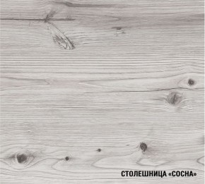 АСАЯ Кухонный гарнитур Экстра 2 (3000 мм) ПМ в Копейске - kopejsk.ok-mebel.com | фото 8