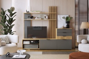 БЕРИ К3 Гостиная в Копейске - kopejsk.ok-mebel.com | фото 2