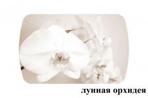 БОСТОН - 3 Стол раздвижной 1100/1420 опоры Брифинг в Копейске - kopejsk.ok-mebel.com | фото 26