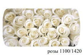 БОСТОН - 3 Стол раздвижной 1100/1420 опоры Брифинг в Копейске - kopejsk.ok-mebel.com | фото 39