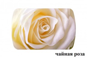 БОСТОН - 3 Стол раздвижной 1100/1420 опоры Брифинг в Копейске - kopejsk.ok-mebel.com | фото 46
