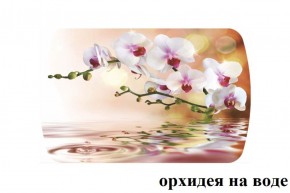 БОСТОН - 3 Стол раздвижной 1100/1420 опоры Брифинг в Копейске - kopejsk.ok-mebel.com | фото 65