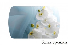 БОСТОН - 3 Стол раздвижной 1100/1420 опоры Триумф в Копейске - kopejsk.ok-mebel.com | фото 8