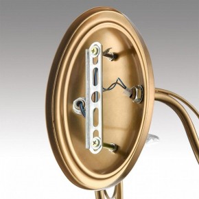 Бра Lumion INCANTO 8033/2W в Копейске - kopejsk.ok-mebel.com | фото 8