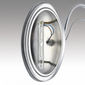 Бра Lumion INCANTO 8034/1W в Копейске - kopejsk.ok-mebel.com | фото 7