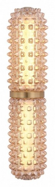 Бра ST-Luce SAGUARO SL6144.301.01 в Копейске - kopejsk.ok-mebel.com | фото 3