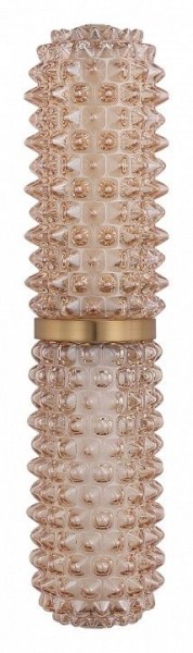 Бра ST-Luce SAGUARO SL6144.301.01 в Копейске - kopejsk.ok-mebel.com | фото 4