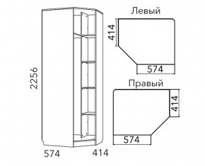 Детская Фанк Шкаф угловой Левый/Правый НМ 013.04-02 М в Копейске - kopejsk.ok-mebel.com | фото 3