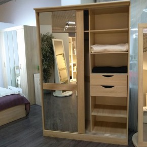 ДИАНА Д13 Шкаф-купе в Копейске - kopejsk.ok-mebel.com | фото 4