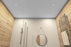 DK2036-WH Встраиваемый светильник влагозащ., IP 44, до 15 Вт, GU10, LED, белый, алюминий в Копейске - kopejsk.ok-mebel.com | фото 5