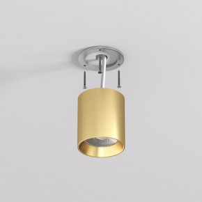 DK2610-SB Накладной светильник SHINE TUBE со светодиодом, D70*H80, IP20, 3000К, 10W, RA?90, сатинированная латунь, алюминий в Копейске - kopejsk.ok-mebel.com | фото 3