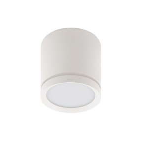 DK4013-WH Светильник накладной IP 20, 5 Вт, LED 4000, белый, алюминий/акрил в Копейске - kopejsk.ok-mebel.com | фото 2
