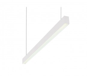 DK9124-WH Линейный светильник 30W 1250mm 4000K, белый в Копейске - kopejsk.ok-mebel.com | фото
