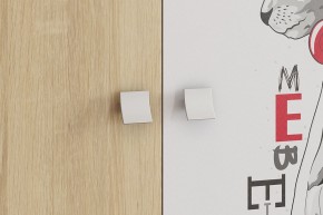 ЭНЕРДЖИ Шкаф 2-створчатый в Копейске - kopejsk.ok-mebel.com | фото 4