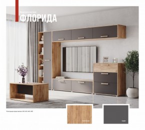 ФЛОРИДА Гостиная (модульная) дуб золотой/графит в Копейске - kopejsk.ok-mebel.com | фото