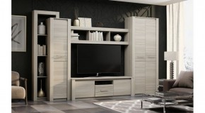 ЭЛИС Гостиная в Копейске - kopejsk.ok-mebel.com | фото 2