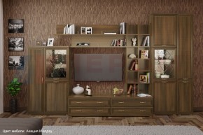 Гостиная Карина Композиция 5 (Акация Молдау) в Копейске - kopejsk.ok-mebel.com | фото