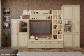 Гостиная Карина Композиция 5 (Ясень Асахи) в Копейске - kopejsk.ok-mebel.com | фото