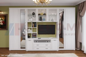 Гостиная Карина Композиция 6 (Снежный ясень) в Копейске - kopejsk.ok-mebel.com | фото