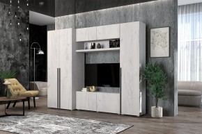 Гостиная Норден (Дуб Крафт белый) в Копейске - kopejsk.ok-mebel.com | фото