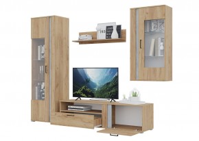 Гостиная Омега (Крафт золотой-Бетон) в Копейске - kopejsk.ok-mebel.com | фото 4