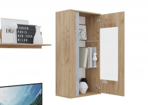 Гостиная Омега (Крафт золотой-Бетон) в Копейске - kopejsk.ok-mebel.com | фото 6