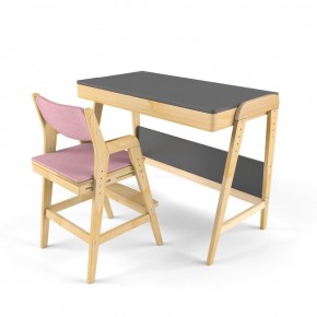 Комплект растущий стол и стул с чехлом 38 попугаев «Вуди» (Серый, Береза, Розовый) в Копейске - kopejsk.ok-mebel.com | фото
