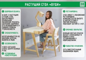 Комплект растущий стол и стул с чехлом 38 попугаев «Вуди» (Серый, Береза, Салют) в Копейске - kopejsk.ok-mebel.com | фото