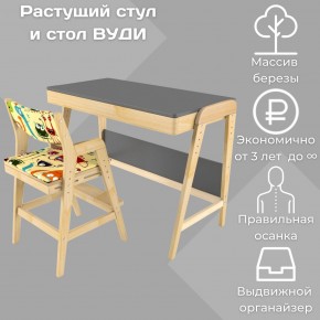 Комплект растущий стол и стул с чехлом 38 попугаев «Вуди» (Серый, Без покрытия, Монстры) в Копейске - kopejsk.ok-mebel.com | фото