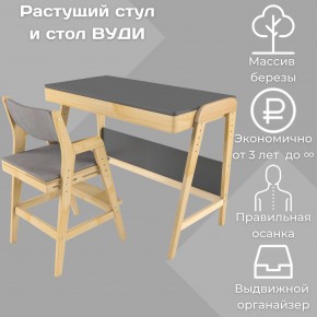 Комплект растущий стол и стул с чехлом 38 попугаев «Вуди» (Серый, Без покрытия, Серый) в Копейске - kopejsk.ok-mebel.com | фото