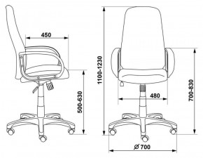 Кресло руководителя Бюрократ CH-808AXSN/G темно-серый 3C1 в Копейске - kopejsk.ok-mebel.com | фото 3