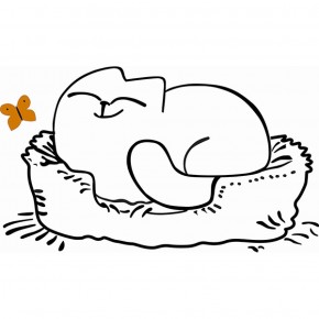 Кровать двухуровневая Кот № 900.1 ЛЕВАЯ (туя светлая/белый) в Копейске - kopejsk.ok-mebel.com | фото 2