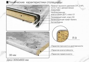 Кухонный фартук со столешницей (А-01) в едином стиле (3050 мм) в Копейске - kopejsk.ok-mebel.com | фото 6