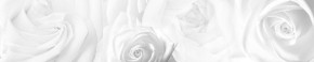 Кухонный фартук Цветы 217 МДФ матовый (3000) Flowers в Копейске - kopejsk.ok-mebel.com | фото 1