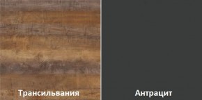 Кухонный гарнитур угловой Трансильвания 2600х1600 мм (Стол. 38 мм) в Копейске - kopejsk.ok-mebel.com | фото 3