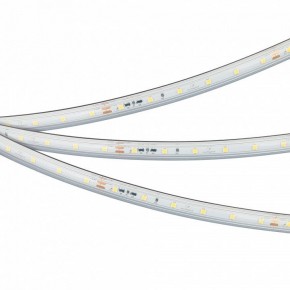 Лента светодиодная Arlight IC-PS-A60-10mm 24V 050656 в Копейске - kopejsk.ok-mebel.com | фото