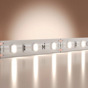 Лента светодиодная Maytoni Base 201164 в Копейске - kopejsk.ok-mebel.com | фото