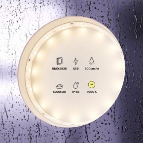 Лента светодиодная Maytoni Led strip 10105 в Копейске - kopejsk.ok-mebel.com | фото 2