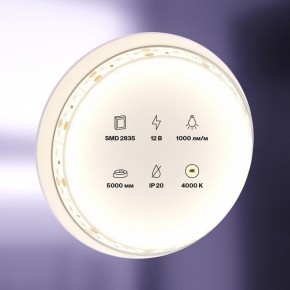 Лента светодиодная Maytoni Led strip 10109 в Копейске - kopejsk.ok-mebel.com | фото 2