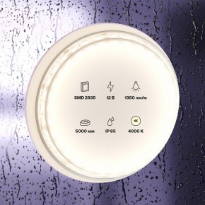 Лента светодиодная Maytoni Led strip 10118 в Копейске - kopejsk.ok-mebel.com | фото 2