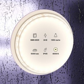 Лента светодиодная Maytoni Led strip 10152 в Копейске - kopejsk.ok-mebel.com | фото 2