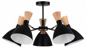 Люстра на штанге EVOLUCE VISTA SLE1256-402-05 в Копейске - kopejsk.ok-mebel.com | фото
