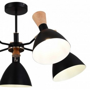 Люстра на штанге EVOLUCE VISTA SLE1256-402-05 в Копейске - kopejsk.ok-mebel.com | фото 10