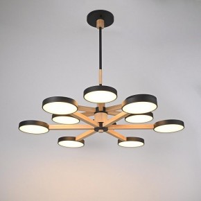 Люстра на штанге Imperiumloft TURNA Black TURNA-DBL01 в Копейске - kopejsk.ok-mebel.com | фото 4