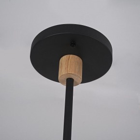 Люстра на штанге Imperiumloft TURNA Black TURNA-DBL01 в Копейске - kopejsk.ok-mebel.com | фото 9