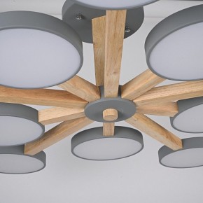 Люстра на штанге Imperiumloft TURNA Gray TURNA-B01 в Копейске - kopejsk.ok-mebel.com | фото 10