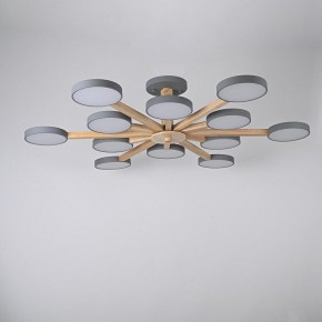 Люстра на штанге Imperiumloft TURNA Gray TURNA-B01 в Копейске - kopejsk.ok-mebel.com | фото 3