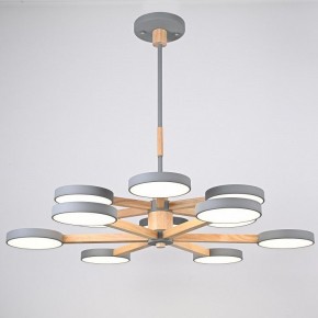 Люстра на штанге Imperiumloft TURNA Gray TURNA-DBL01 в Копейске - kopejsk.ok-mebel.com | фото 3